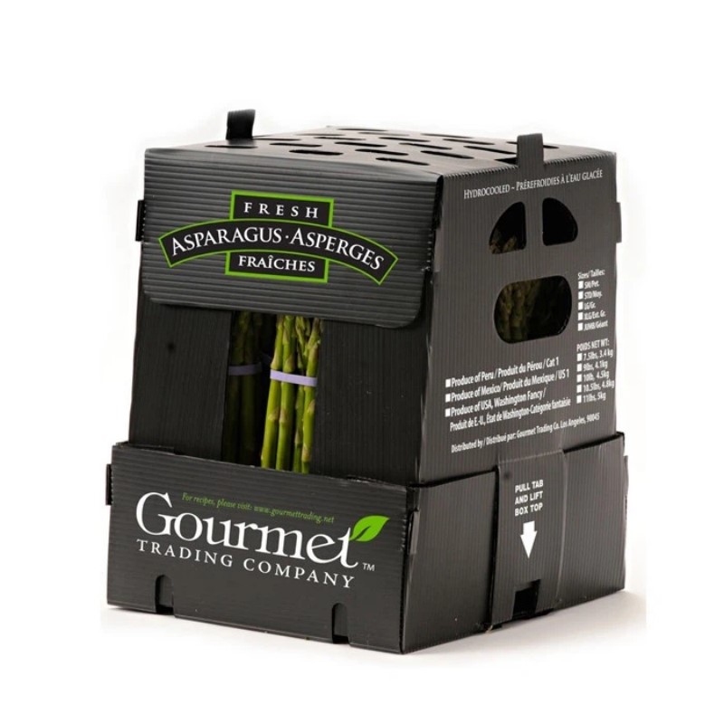 Customizable PP Packing Boxes Customizable PP Packing Boxes