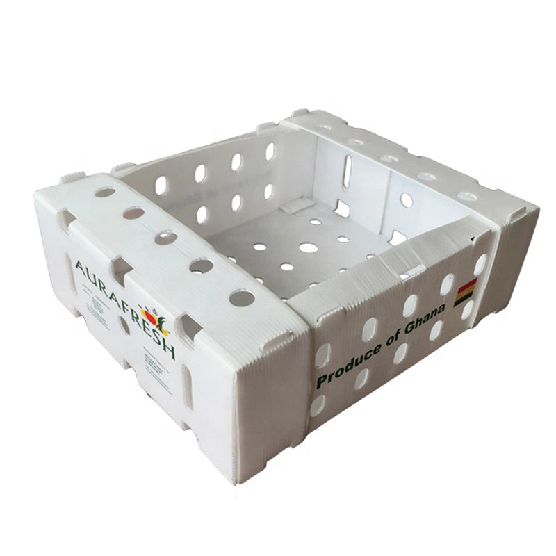 PP Corrugated Vegetable Box PP Corrugated Vegetable Box